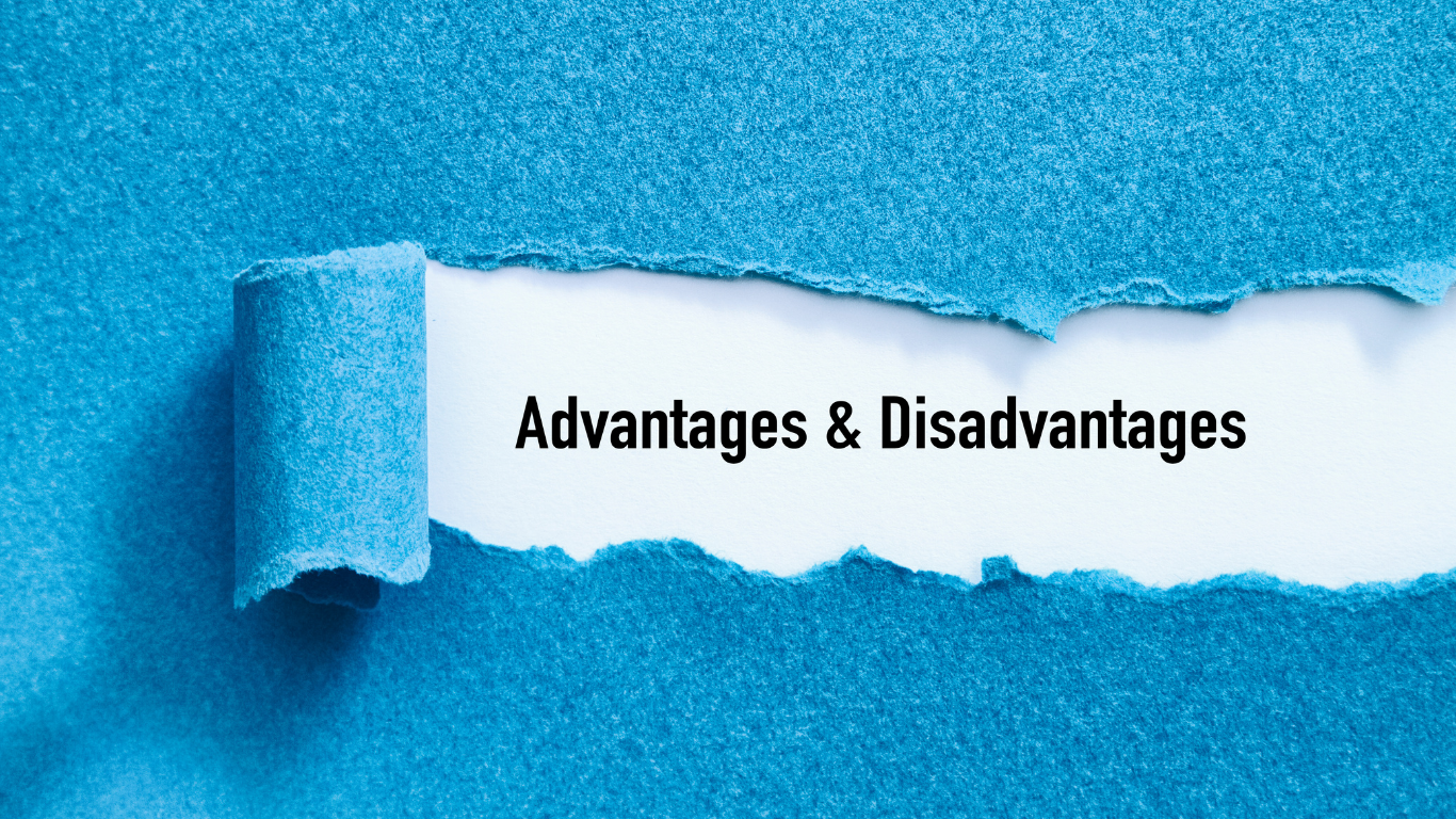 Advantages and Disadvantages of a Private Limited Company in India
